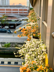 Paper flowers in pots on a pedestrian overpass
