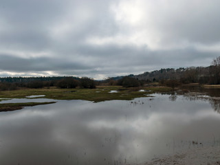 Fototapeta premium landscape with flooded river in spring