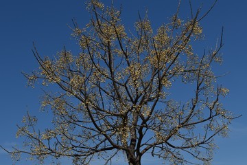 aire libre