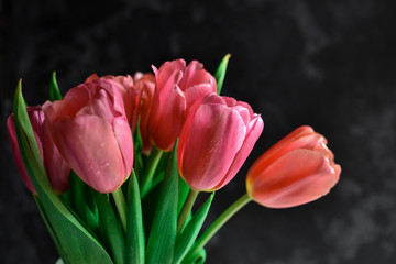 Bouquet of tulips, flowers on a dark background. Beautiful pink tulips. background of flowers. Spring background.