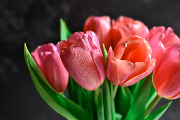 Naklejka premium Bouquet of tulips, flowers on a dark background. Beautiful pink tulips. background of flowers. Spring background.