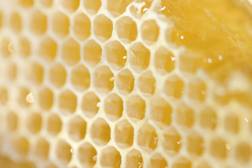 Honeycomb with liquid honey