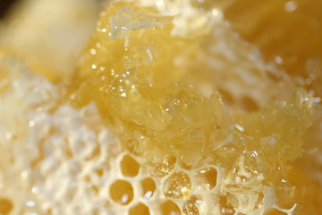 Honeycomb with liquid honey