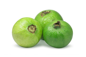 fresh green guava fruit on white background