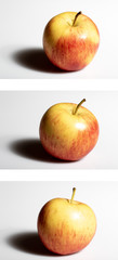 red apple on a white background