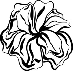 hand drawn flower plants on white background in Doodle style