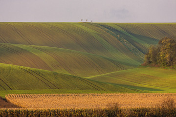 Bends and curves of fields on hills