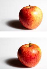 red apple on a white background