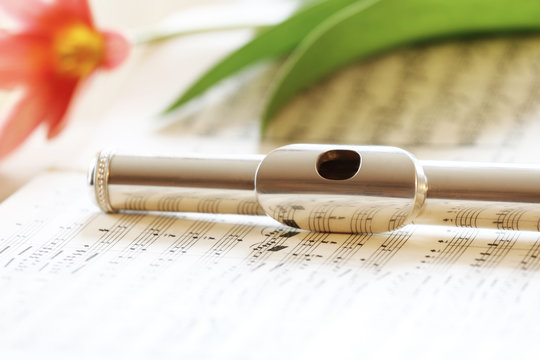 Flute headjoint
