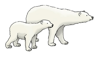 Eisbären