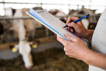 Unrecognizable manager with clipboard working on diary farm, agriculture industry.