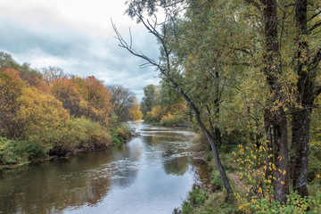 Fototapeta na wymiar Dead tree on the river in autumn