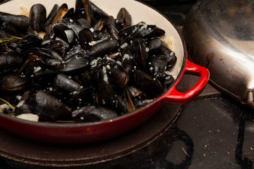 Cooked fresh mussels