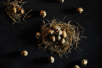 Quail eggs in abstract nest on rustic black background