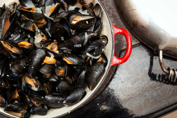Cooked fresh mussels