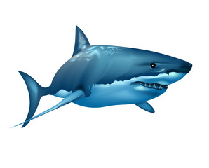 Realistic shark in the ocean on white background. Wall stickers	