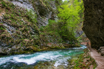 Fototapeta na wymiar Mountain stream flowing through Vintgar gorge, Slovenia