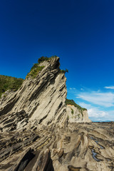 夏に立ち向かう