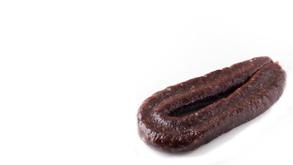 Salami sausage isolated on white with copy space