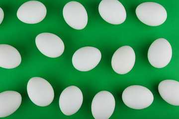 pattern of white eggs on green background top view