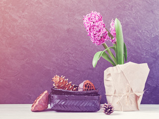 Hyacinth flower wrapped in paper. Nearby is a black wicker basket with dried lotus boxes inside and a pine cone. Dark cement background. Copy space.