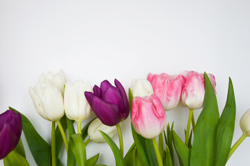 Bouquet of flowers. beautiful pink, white and purple tulips.