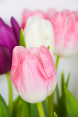 Bouquet of flowers. beautiful pink, white and purple tulips.