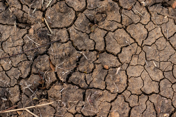 Cracked ground from rural droughts and water shortages