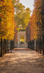 Alley of the Jardin des Tuileries covered with orange autumn leaves, Tuileries garden in Paris France on a beautiful Fall day