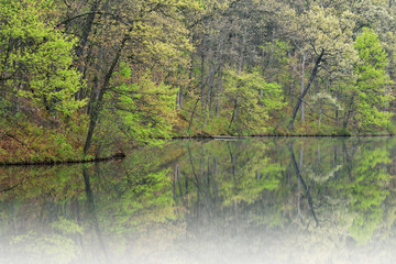 Fototapeta premium Foggy spring landscape of the shoreline of Eagle Lake, Fort Custer State Park, Michigan, USA