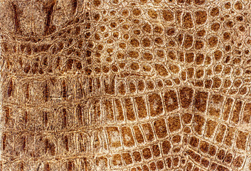 Genuine leather texture background. Leather surface. Manufacturing of shoes, clothes, bags and fashion, furniture. Close up. Copy space.