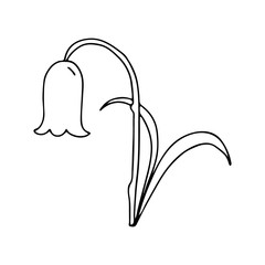 Flower bell in the Doodle style .Black and white image isolated on a white background.Botanical illustration. The bell with the leaves.Vector illustration.