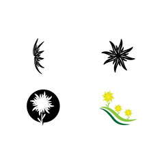 Set Edelweiss Logo Template vector