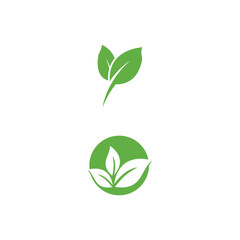 Leaf Logo Template vector symbol