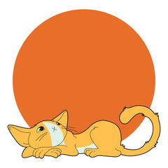 orange cat on the coral circle for your text
