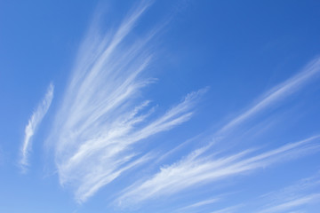 blue sky with white clouds