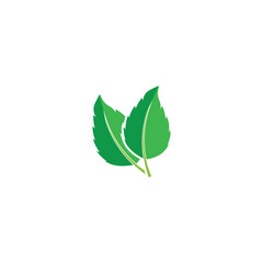 Fototapeta premium Leaf Mint Logo Template vector symbol