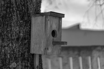Birdhouse on a tree. Black and white photo.