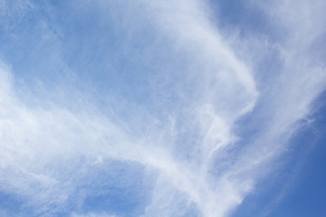 Obraz na płótnie Canvas blue sky with white clouds