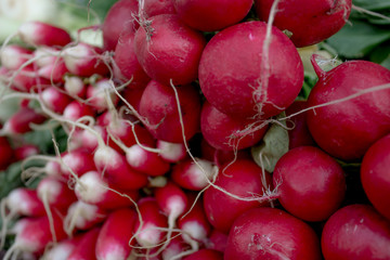 Radish displayed