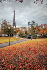 Fototapeta na wymiar Parisian landscape in Autumn with the Eiffel tower in the background in Paris France
