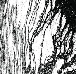 Rough black and white texture vector. Distressed overlay texture. Grunge background. Abstract textured effect. Vector Illustration. Black isolated on white background. EPS10.