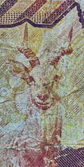 Picture of an antelope on the thousand Shilling note from Uganda, Africa