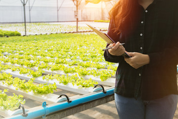 Female farmers supervise vegetable hydroponic organic produce. Take care of the file to take notes and plan the greenhouse with care.