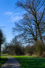 Wanderweg am Reeser Meer am Niederrhein