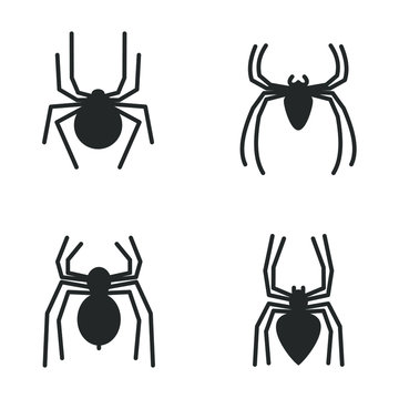 Spider icon vector sign isolated for graphic and web design. Spider symbol template color editable on white background.