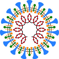 Cross section, structure, components of Covid-19 corona Virus - vector illustration 