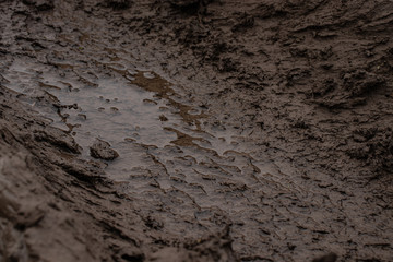 Close-up dirt in an off-road rut on a field