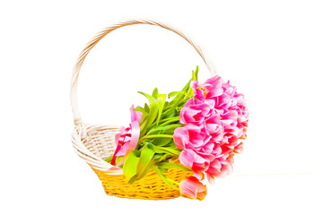 Fototapeta na wymiar Pink tulips in a white basket. Isolated.