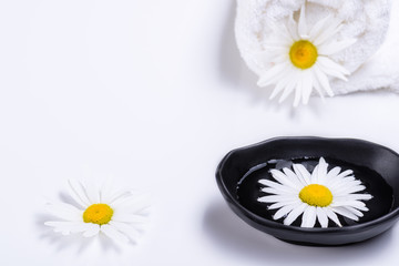 Spa treatment concept with terry towel and black plate with liquid in which white daisy floats. Natural oils for SPA. Flat lay composition. Copy space for text.